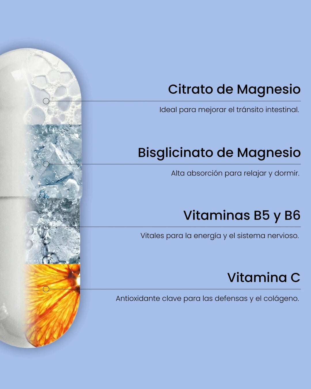 Magnésio Complexo Protella – 60 Cápsulas - TugaSox Fitness Store