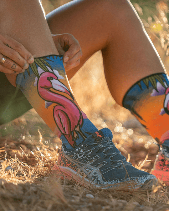 Meias Desportivas FLAMINGOS - TugaSox Fitness Store