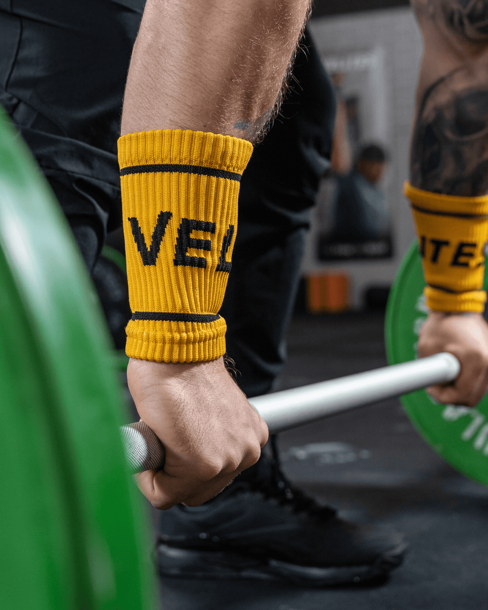 Velites Wristbands | MUSTARD - TugaSox Fitness Store