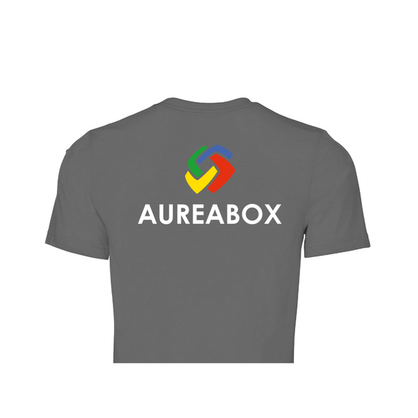 Crop T-shirt AUREABOX - Dark Grey
